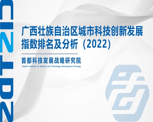 www.靠逼高清网站【成果发布】广西壮族自治区城市科技创新发展指数排名及分析（2022）